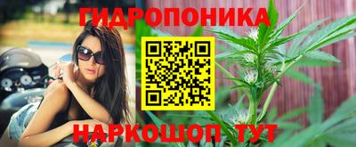Альфа ПВП Партизанск