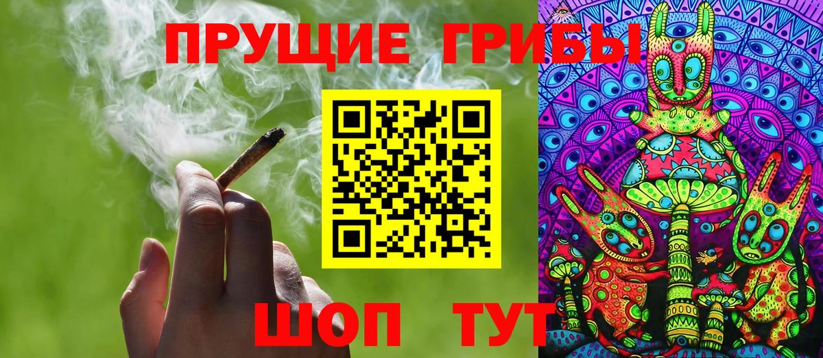 Галлюциногенные грибы Magic Shrooms  Вход с VPN  Светлоград  Псилоцибиновые грибы GOLDEN TEACHER 